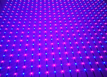 Pantalla de malla interior a todo color del PVC LED del alto brillo de las luces de hadas de la malla de la red del LED